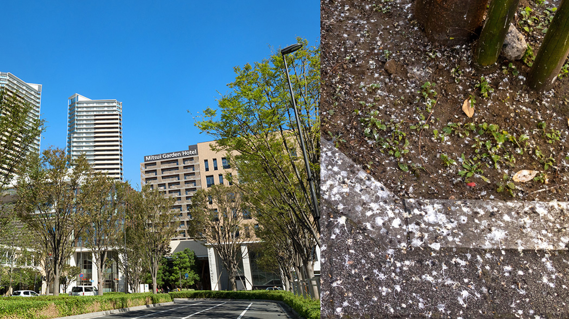 駅前ロータリーや街路樹での使用例