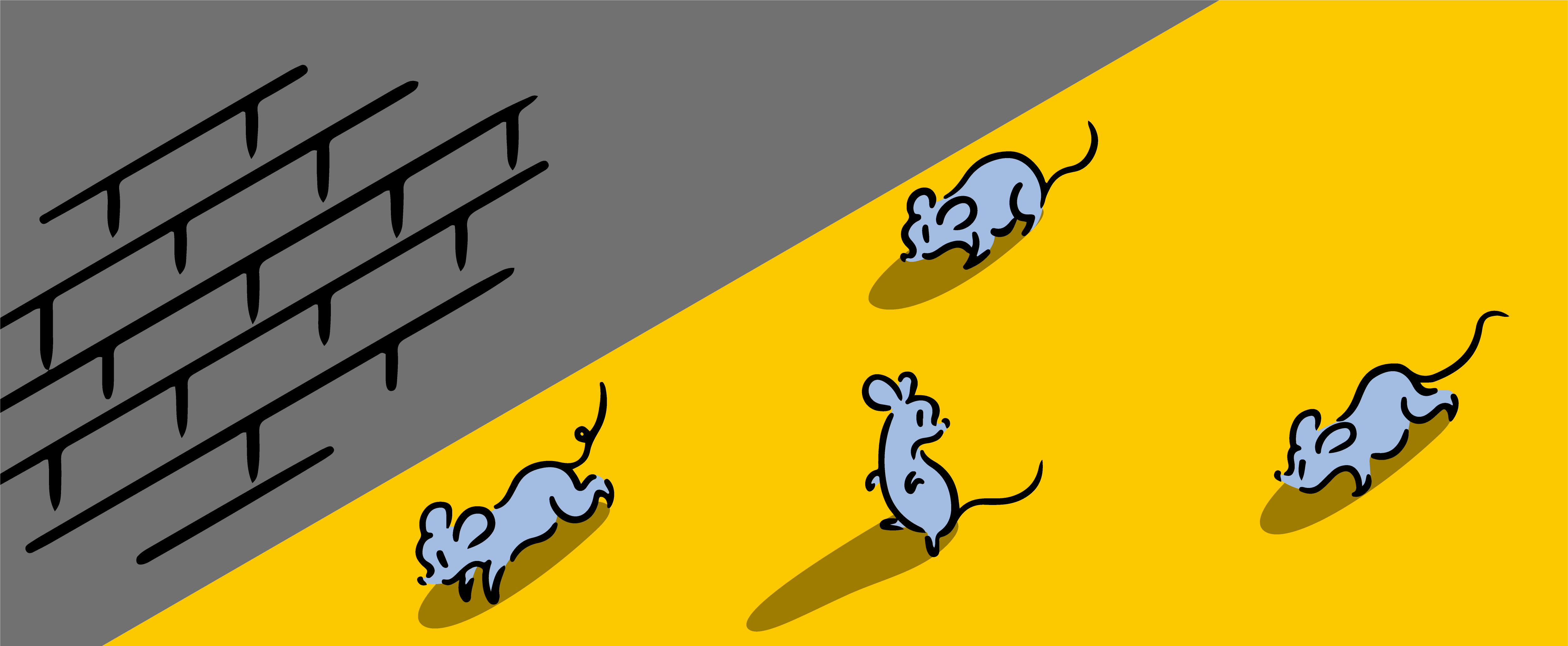 ネズミ対策イメージ